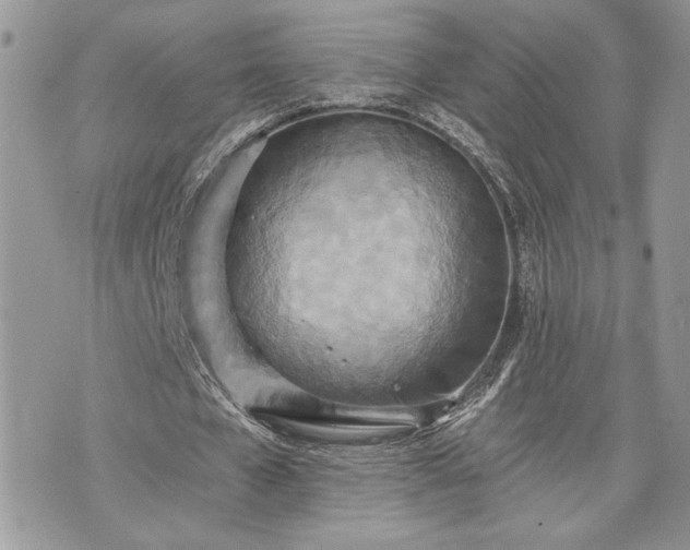 X0000070360577200606161254