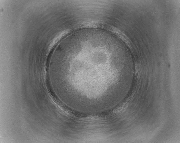 X0000070360578200606161254