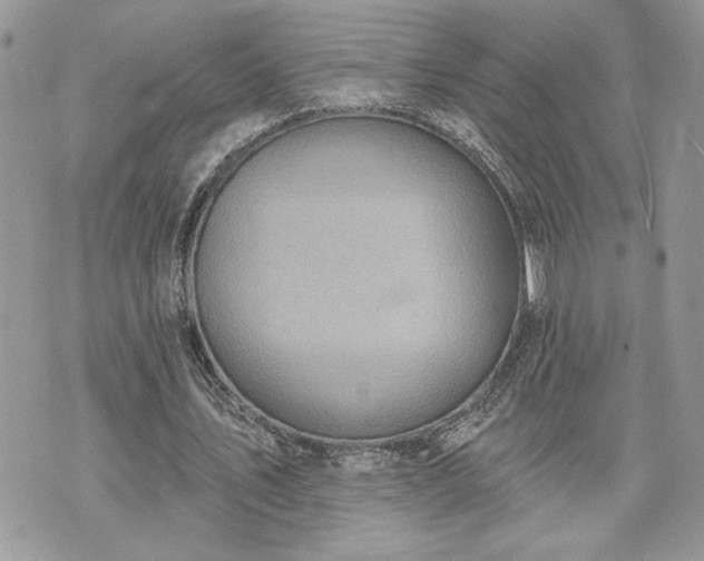 X0000070360579200606161254