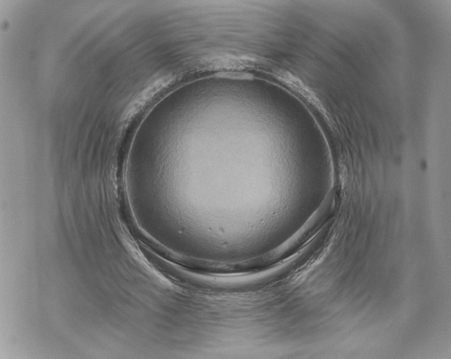 X0000070360581200606161254