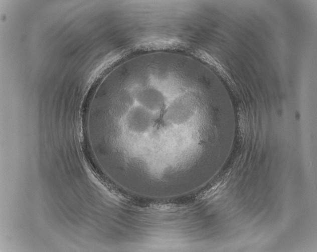 X0000070360582200606161254