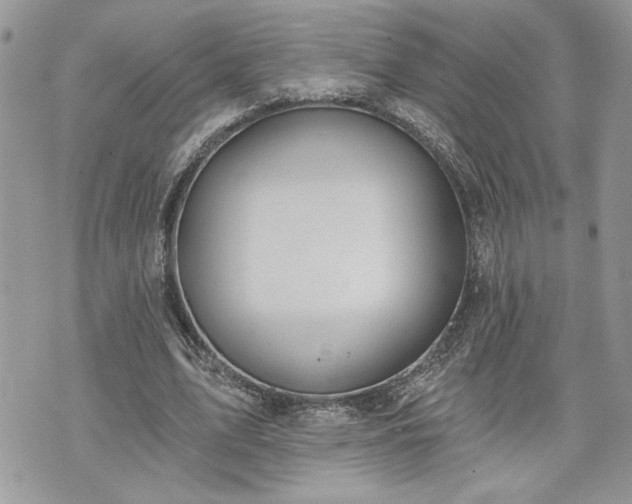 X0000070360583200606161254