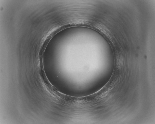 X0000070360584200606161254