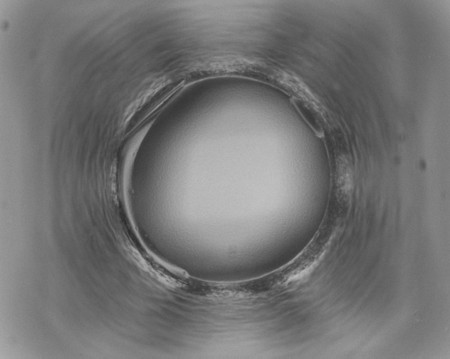 X0000070360585200606161254