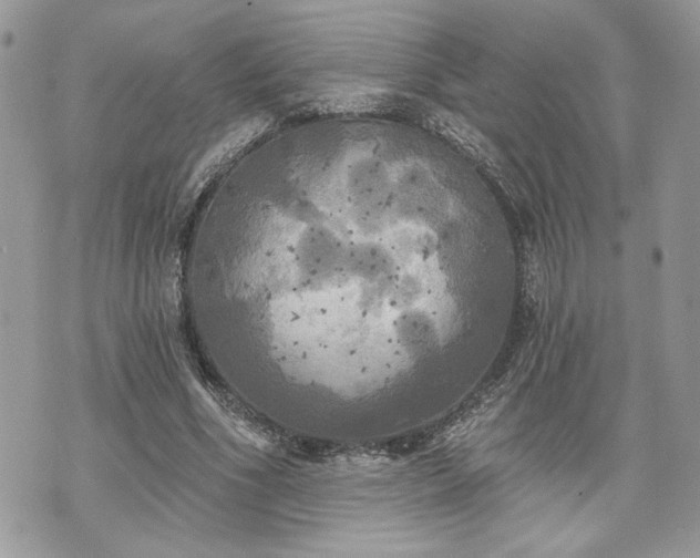 X0000070360586200606161254