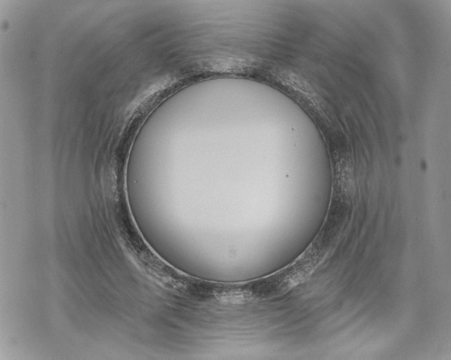 X0000070360587200606161254