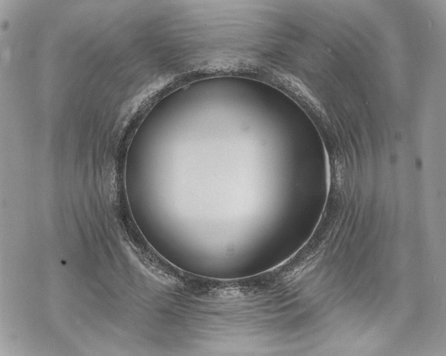 X0000070360588200606161254