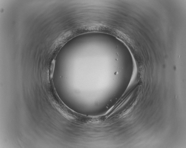 X0000070360589200606161254