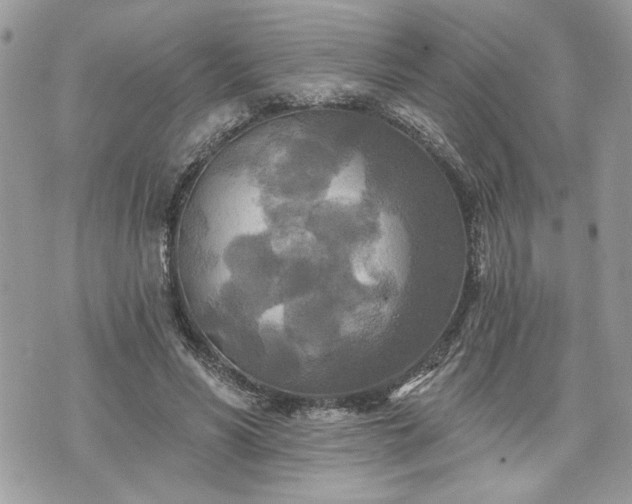 X0000070360590200606161254