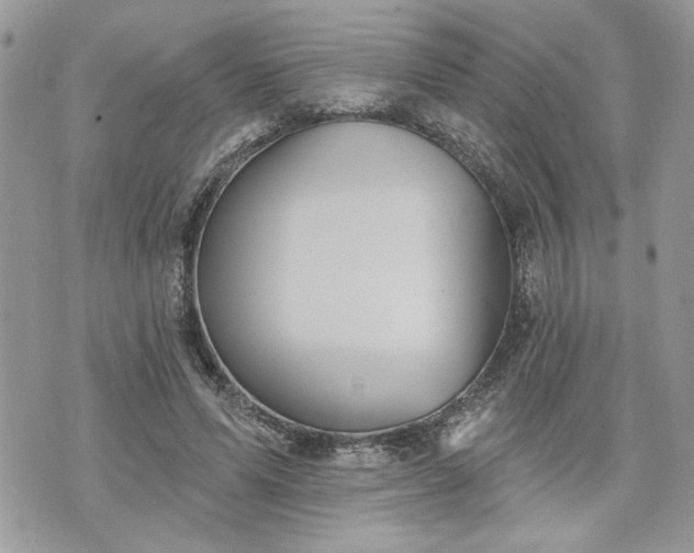 X0000070360591200606161253