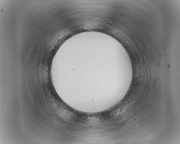 X0000070360592200606161253