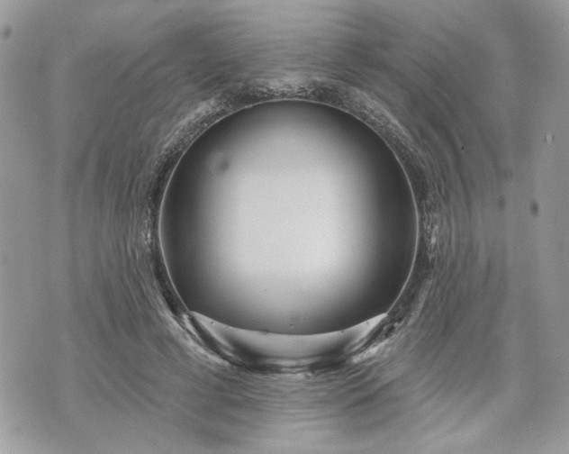 X0000070360593200606161253