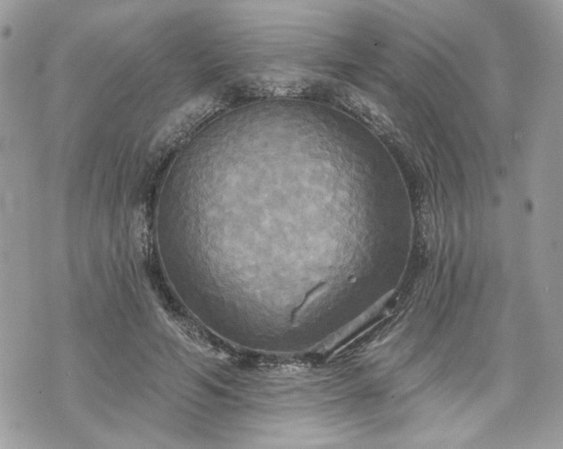 X0000070360594200606161253