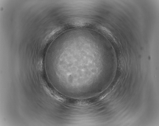 X0000070360596200606161253