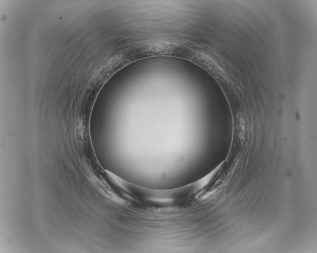 X0000070360597200606161253