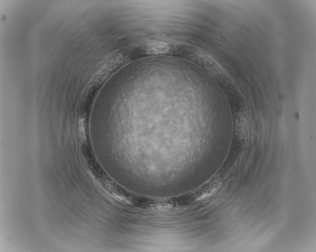 X0000070360598200606161253