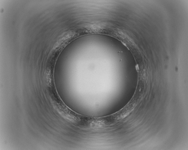 X0000070360599200606161253