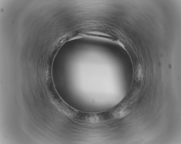 X0000070360600200606161253