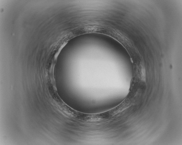 X0000070360601200606161253