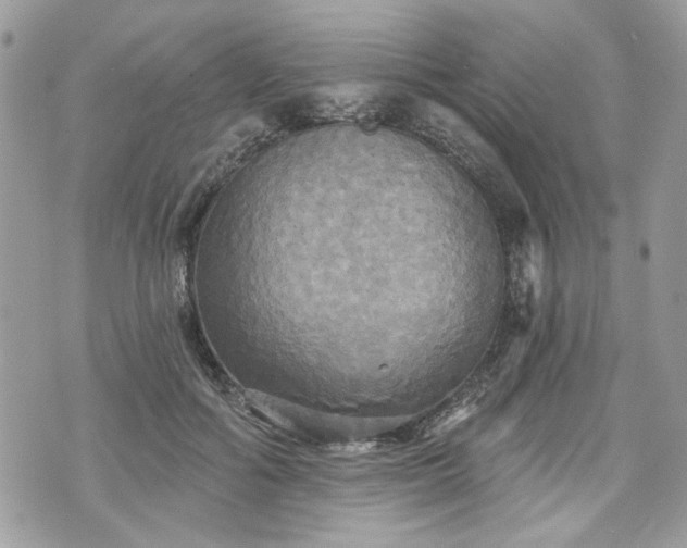 X0000070360602200606161253