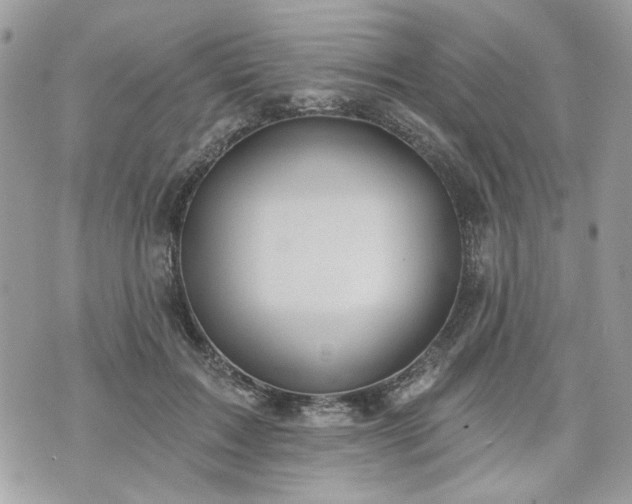 X0000070360603200606161253