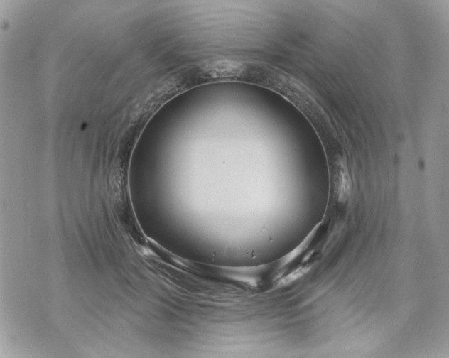 X0000070360604200606161253