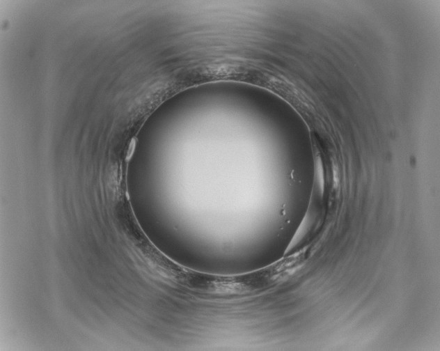 X0000070360605200606161253