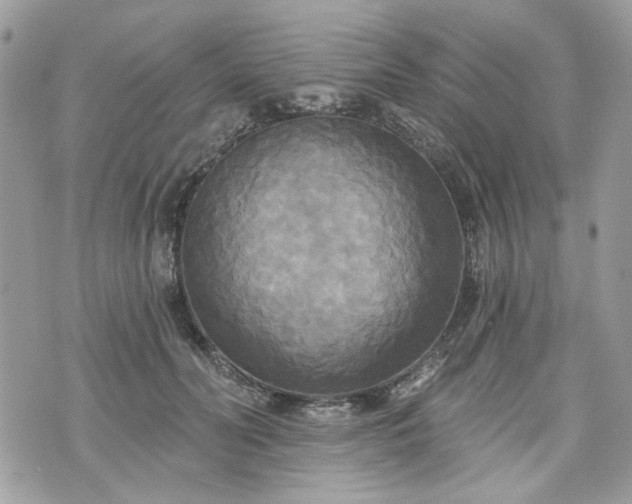 X0000070360606200606161253