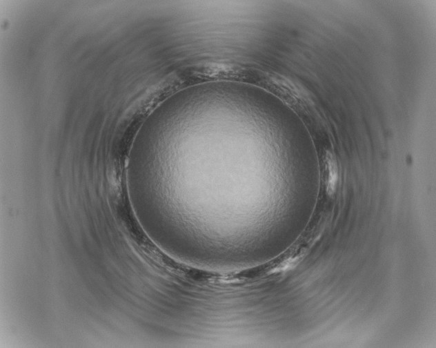 X0000070360607200606161253