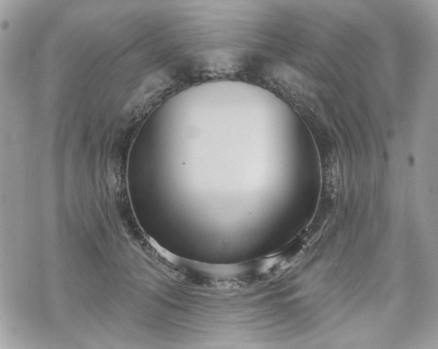 X0000070360608200606161253