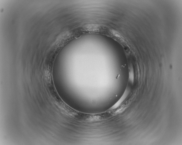 X0000070360609200606161253