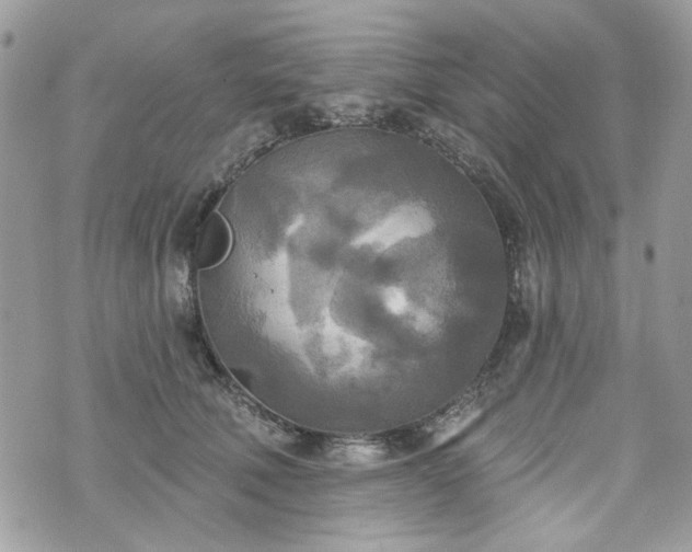 X0000070360610200606161253