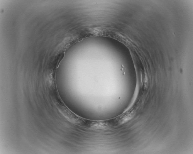 X0000070360611200606161253