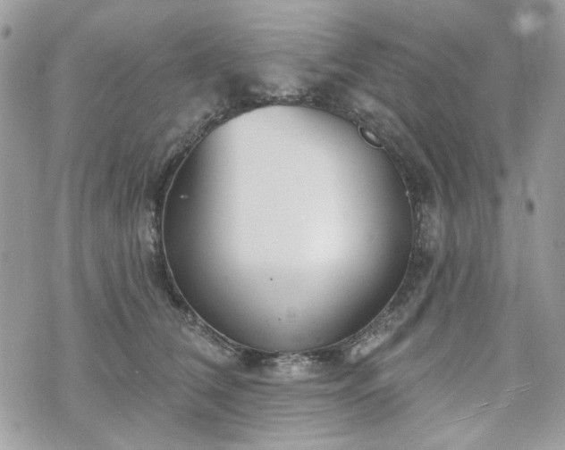 X0000070360612200606161253