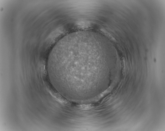 X0000070360615200606161253