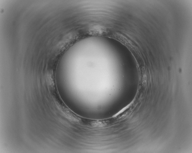 X0000070360616200606161253