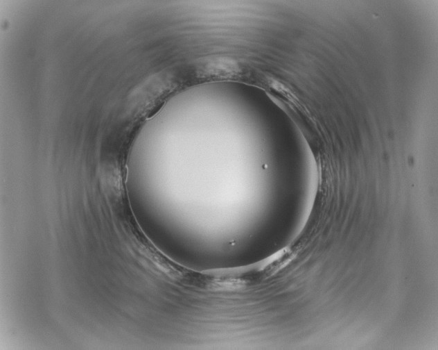 X0000070360617200606161253