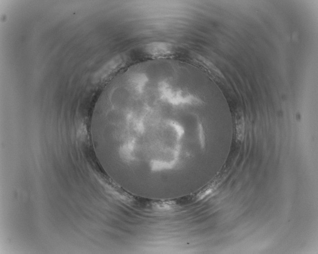 X0000070360618200606161253