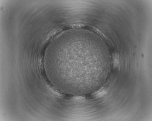 X0000070360619200606161253