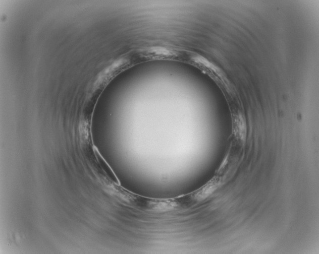 X0000070360621200606161253