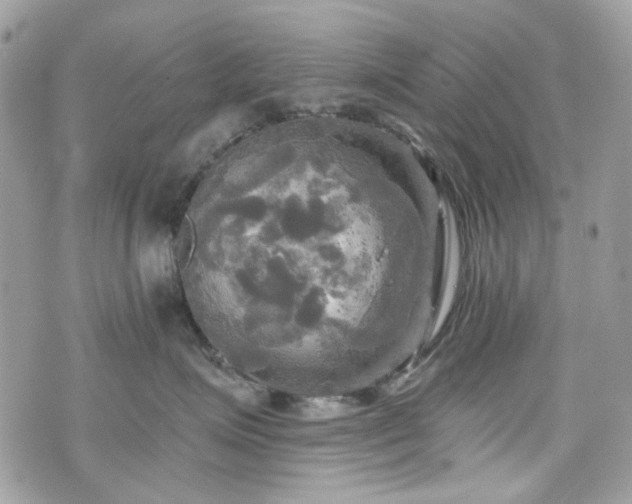 X0000070360623200606161253