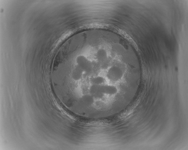 X0000070360625200606161252