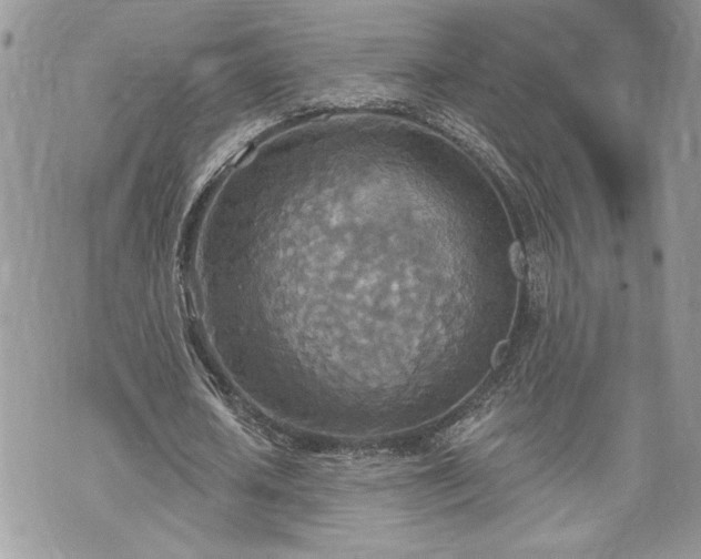 X0000070360626200606161252