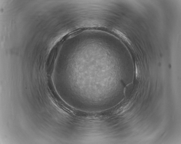 X0000070360627200606161252