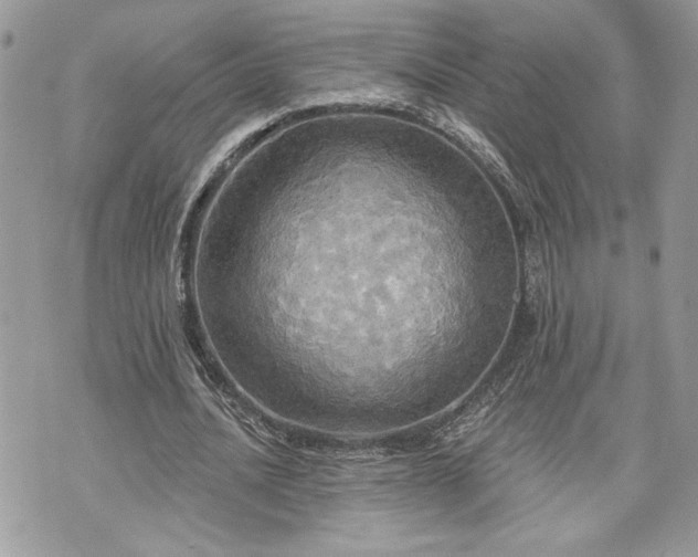 X0000070360628200606161252