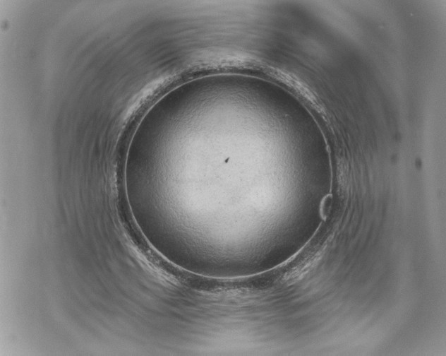 X0000070360629200606161252