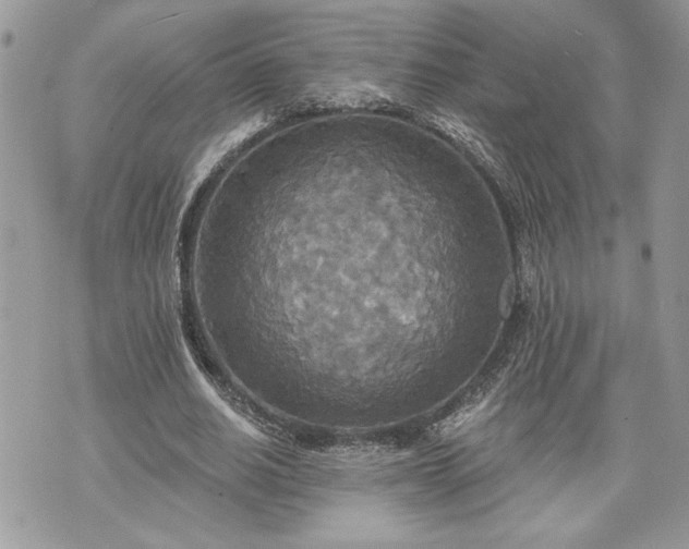 X0000070360630200606161252