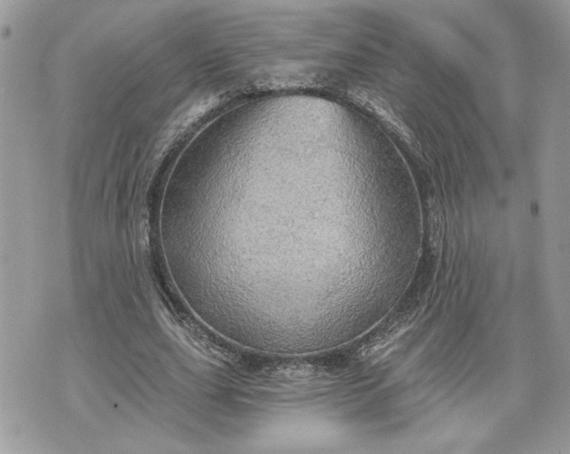 X0000070360631200606161252