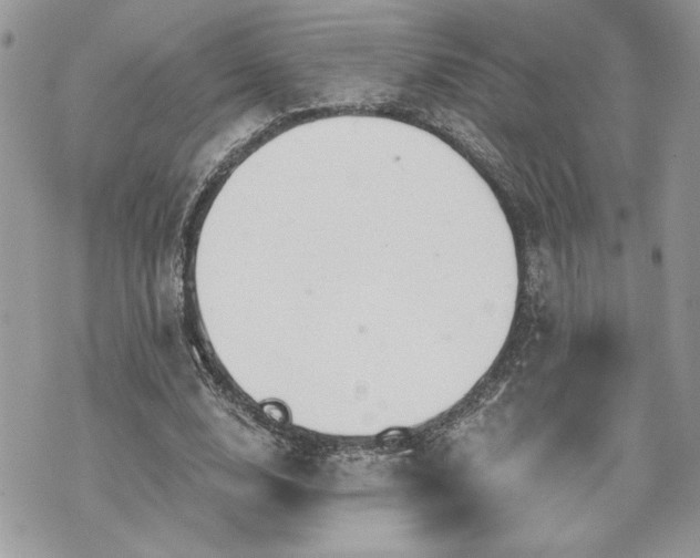 X0000070360632200606161252