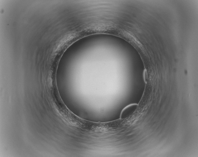 X0000070360635200606161252